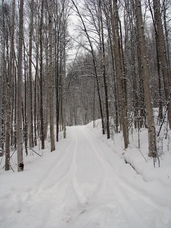 Subaru Tow Plow Subaru Forester Owners Forum